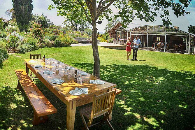 McLaren Vale Winery Small Group Tour with Wine Tasting and Lunch - Quick hits on this McLaren Vale small-group tour
