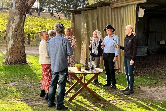 McLaren Vale Winery Small Group Tour with Wine Tasting and Lunch - Lunch timing and what the meal contributes to the day