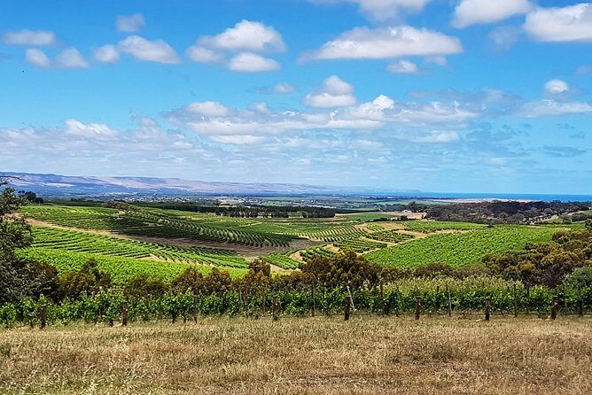 Micro-Group McLaren Vale Wine Tour from Adelaide - Lunch in McLaren Vale: refuel with a multi-course meal and a drink choice