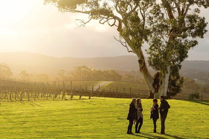 Micro-Group McLaren Vale Wine Tour from Adelaide - Samuel’s Gorge: the relaxed local side of McLaren Vale