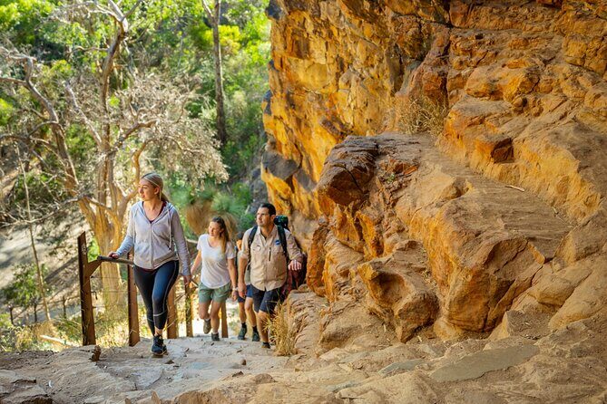 Morialta Wilderness and Wildlife Hike - Morialta Conservation Park: Kaurna roots and cliff-country geology