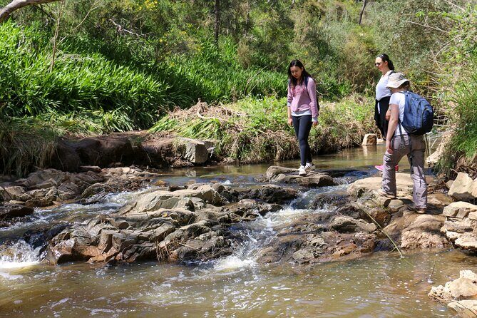 Morialta Wilderness and Wildlife Hike - Snacks, lunch timing, and what to pack
