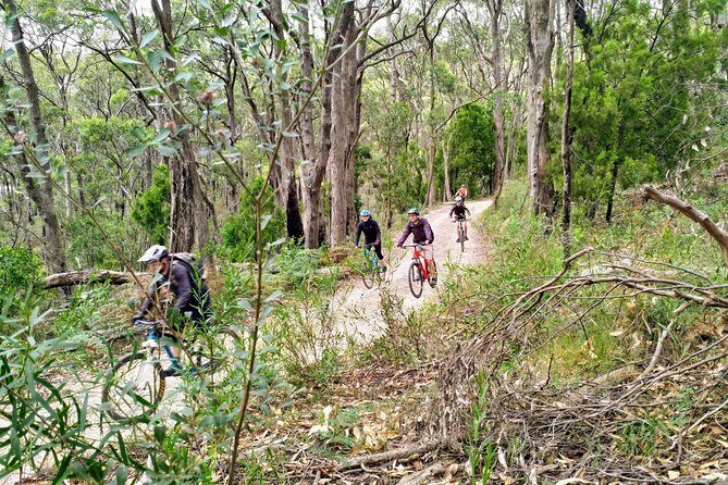 Mount Lofty Descent Bike Tour from Adelaide - Cleland Wildlife Park: animal encounters with time to slow down