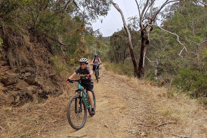 Mount Lofty Descent Bike Tour from Adelaide - Who this tour suits best (and who should rethink it)