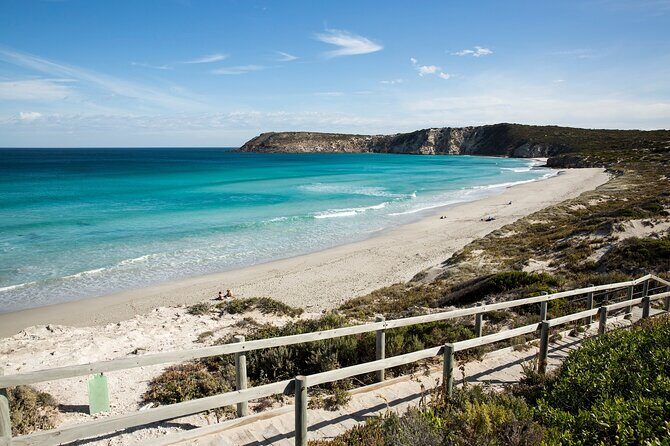 One Day Kangaroo Island Sip & See tour with return ferry transfers from Adelaide - Key highlights worth clocking before you go