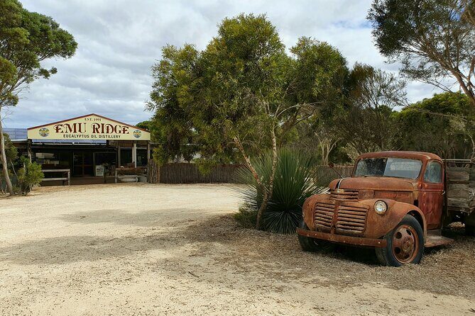 One Day Kangaroo Island Sip & See tour with return ferry transfers from Adelaide - Pennington Bay: a short south-coast burst for photos