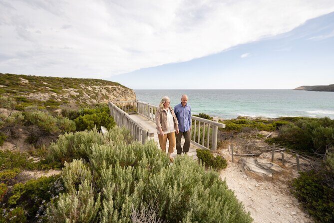 One Day Kangaroo Island Sip & See tour with return ferry transfers from Adelaide - False Cape Wines: tasting at a cellar door made from recycled materials