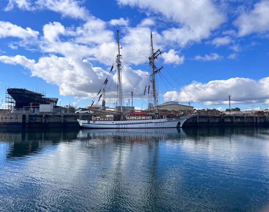 Port Adelaide: Dolphin and Maritime Cruise - Rules that affect comfort (and how to plan around them)