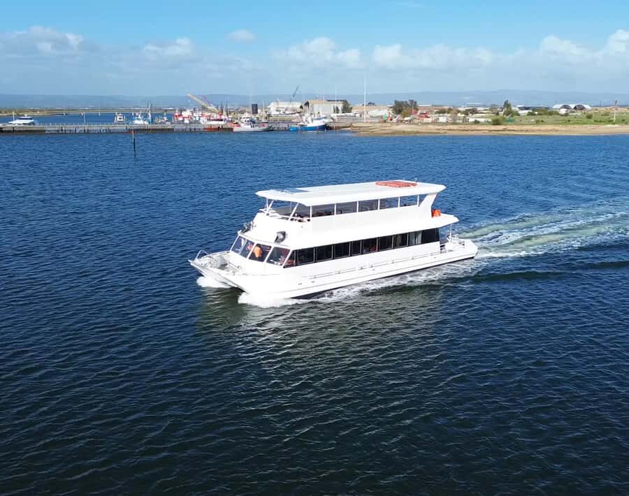 Port Adelaide: Dolphin and Maritime Cruise - The cruise format: skipper as your guide, plus PowerPoint support