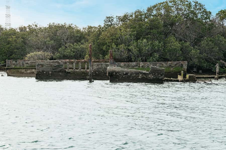 Port Adelaide: Dolphin and Ships Graveyard Cruise - Who This Cruise Is Best For
