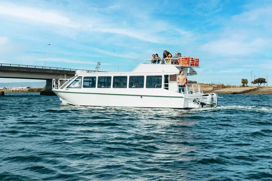 Port Adelaide: Dolphin and Ships Graveyard Cruise - How the Skipper and Guides Make the 90 Minutes Feel Worth It