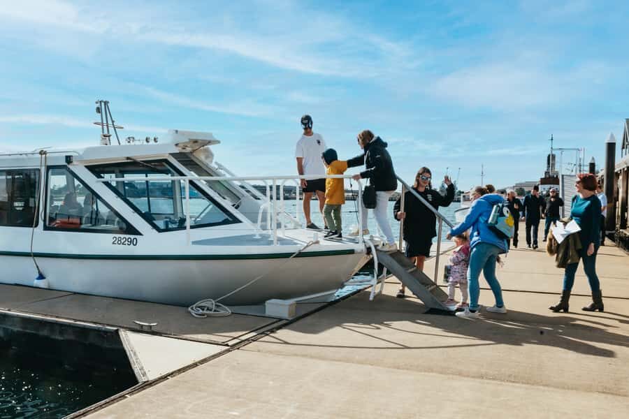 Port Adelaide: Dolphin and Ships Graveyard Cruise - Price and Value: Is $62 for 90 Minutes a Fair Deal?