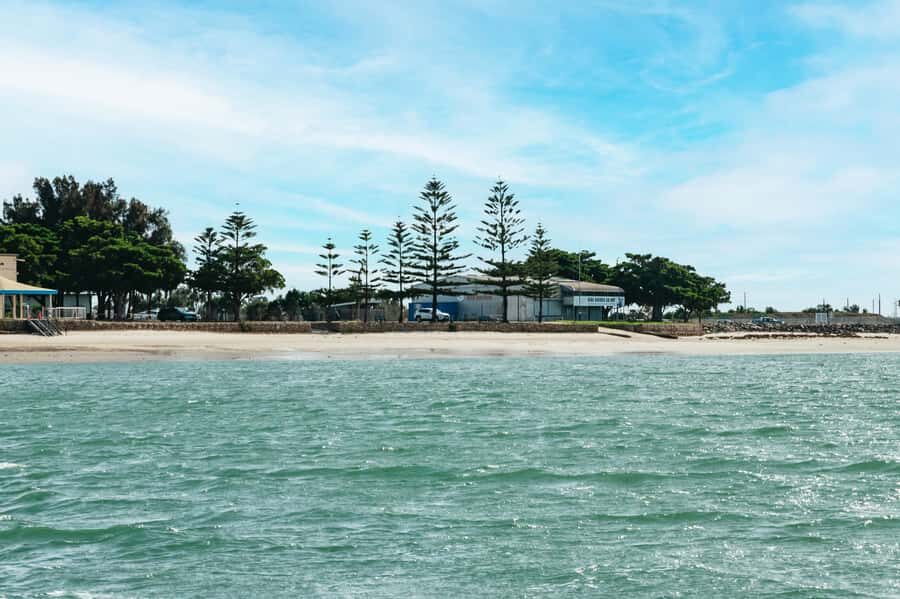 Port Adelaide: Dolphin and Ships Graveyard Cruise - What to Bring: Comfort Tips for a Boat Day in Port Adelaide
