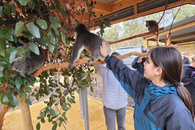 Premium 2 Day Kangaroo Island Minibus Tour from Adelaide - Should you book this 2-day Kangaroo Island minibus tour?