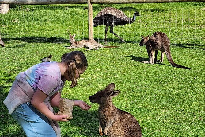 Premium Adelaide Hills Cleland Wildlife and Hahndorf Minibus Tour - Adelaide Hills in one day, without the car headache