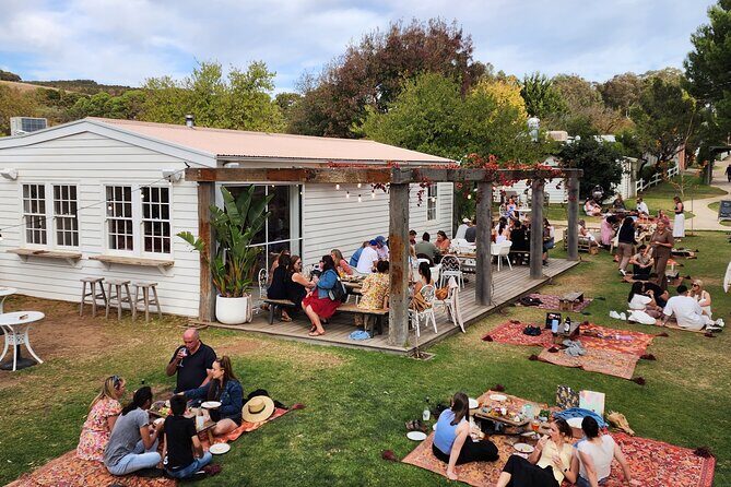 Premium All-Inclusive McLaren Vale Wine and Brew Minibus Tour - Price and value: where your $213.52 goes