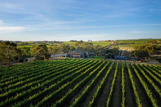 Premium All-Inclusive McLaren Vale Wine and Brew Minibus Tour - Who should book this wine and brew minibus tour?