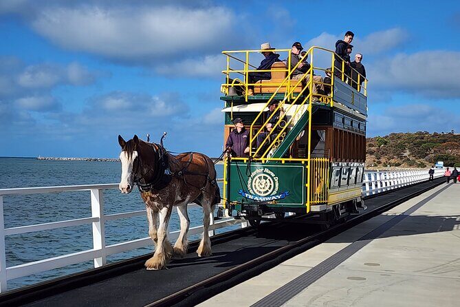 Premium Victor Harbor, Port Elliot and d'Arenberg Minibus Tour - Key highlights you’ll actually use