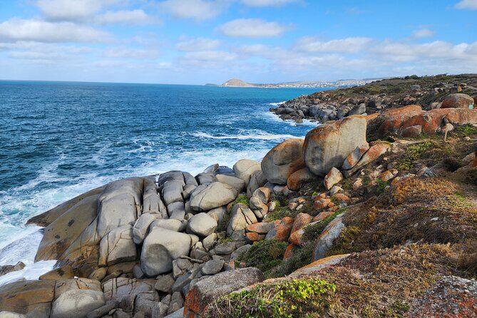 Premium Victor Harbor, Port Elliot and d'Arenberg Minibus Tour - Comfortable small-group transport and real pacing