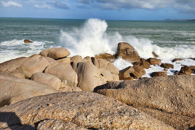 Premium Victor Harbor, Port Elliot and d'Arenberg Minibus Tour - What you’re paying for (and when it feels like a bargain)
