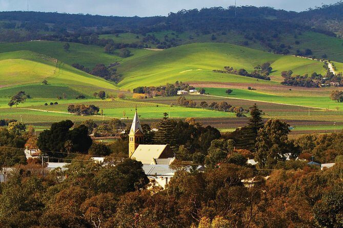 Private Barossa Valley Wine Region Tour from Adelaide - Tastings, food, and how to budget without ruining the day