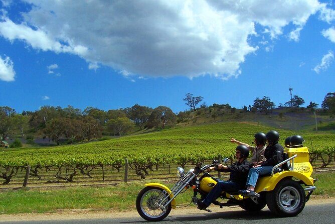 Private Barossa's Best Sightseeing Tour for Two - Tony’s guiding style: comfort plus real local context
