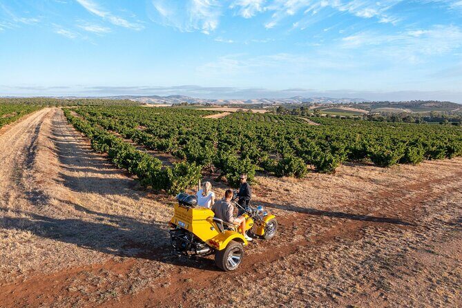 Private Barossa's Best Sightseeing Tour for Two - Private tour time: how you actually spend the 1.5 hours