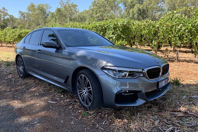 Private McLaren Vale Wine Region Tour from Adelaide - Tasting Focus: Shiraz, Grenache, and the Italian Grape Curiosity