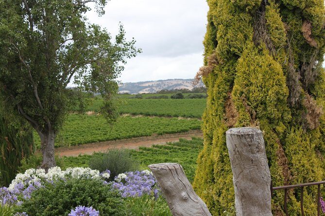 Private McLaren Vale Wine Region Tour from Adelaide - What’s Included (and What Keeps Your Day Moving)