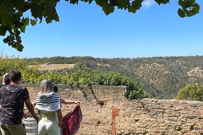 Private Mclaren Vale Wine Tour - Free time in McLaren Vale: distillery or another winery, if schedule allows