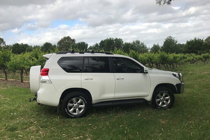 Private Wine Tours McLaren Vale or Adelaide Hills - Stop-by-Stop: From the McLaren Vale Basics to D’Arenberg Cube