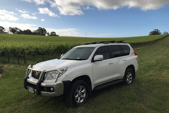 Private Wine Tours McLaren Vale or Adelaide Hills - Shane’s Role: Tailored Route, Real Local Tips