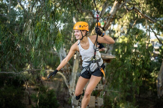 RoofClimb Adelaide Oval Experience - Views across Adelaide: 360 degrees, plus real stories