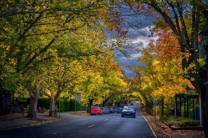 Small Group Adelaide Hills and Hahndorf Hideaway Tour from Adelaide - Explore Hahndorf: shops, galleries, and craft browsing time
