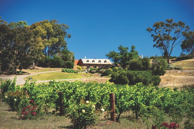 Small Tour Barossa Valley Voyager Tour from Adelaide - Wanera Wine Bar Lunch: Two Courses Plus a Glass of Barossa Wine