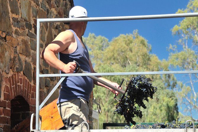 Small Tour Barossa Valley Voyager Tour from Adelaide - Maggie Beers Farm Shop Finish: Food-First, Not Wine-First