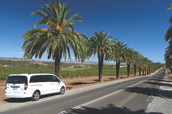 Small Tour Barossa Valley Voyager Tour from Adelaide - What Wines You’ll Taste (and How to Think About the Variety)