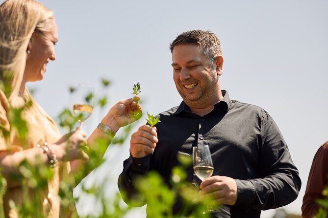 St Hugo Garden to Table Experience & Lunch - Lunch versus dinner: picking the right time for your Barossa day