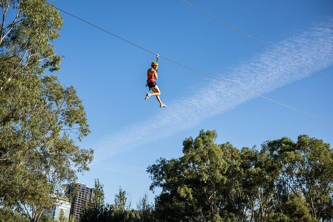 Tree Top Activity for Thrill Seekers and Adventurers in Adelaide - Key highlights at a glance