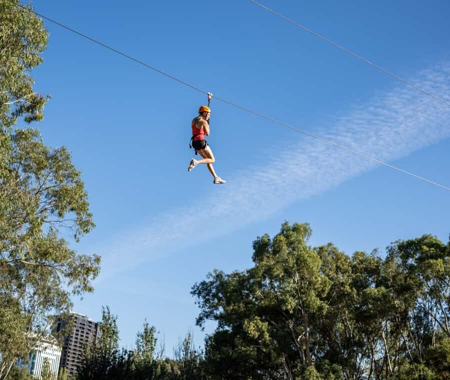 TreeClimb Adelaide: Thrilling Climb For Adventurers - Gear and rules that keep it safe (and make the day smoother)