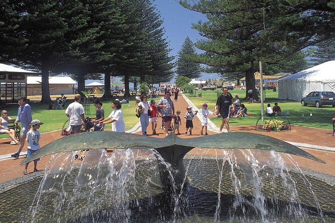 Victor Harbor and Southern Highlights from Adelaide - McLaren Vale and the return route: wine country without the commitment