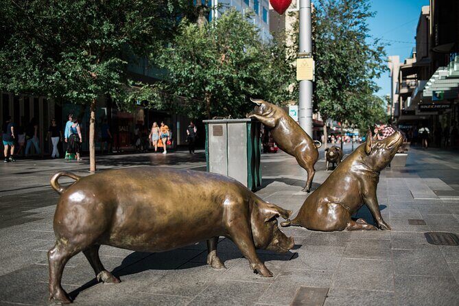 Welcome to Adelaide Walking Tour - Town Hall: Civic Power, With a Smart Optional Follow-Up