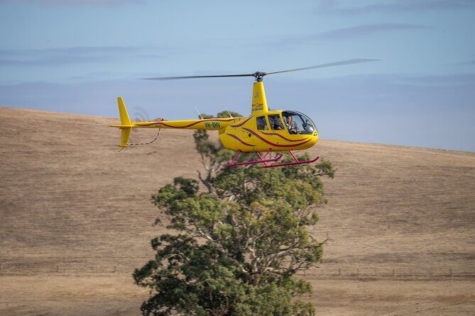 Western Ridge & Valley Floor: 20-Minute Helicopter Flight - Headsets and Pilot Commentary: How to Make This Feel Like More Than a Ride